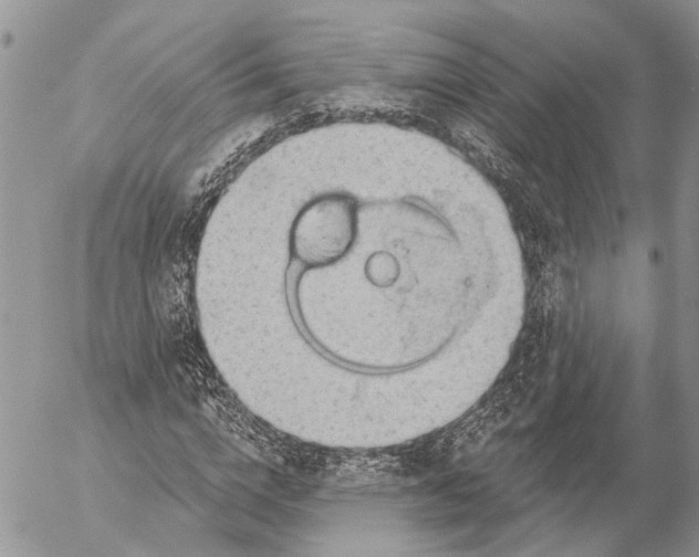 X0000053080824200508081243