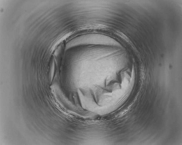 X0000053080826200508081243