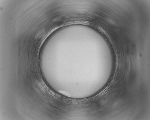 X0000053080828200508081243