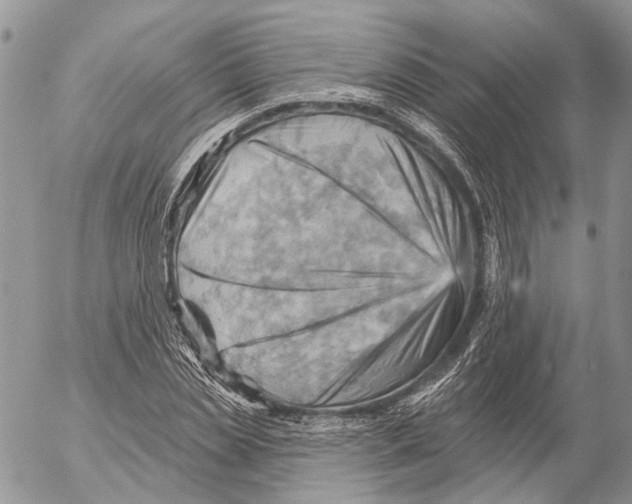 X0000053080829200508081243