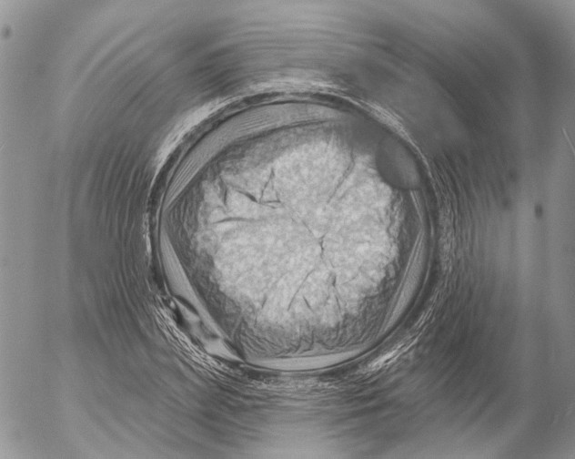 X0000053080831200508081243