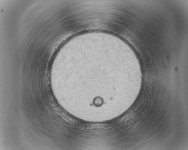 X0000053080832200508081243