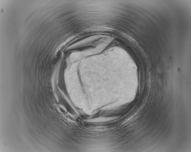 X0000053080833200508081243