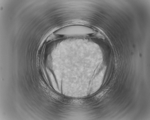 X0000053080835200508081243