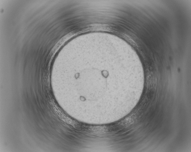 X0000053080836200508081243