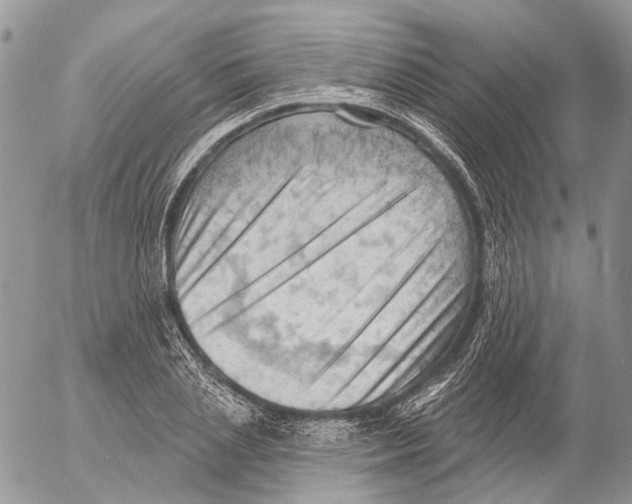 X0000053080837200508081243