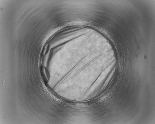 X0000053080839200508081243