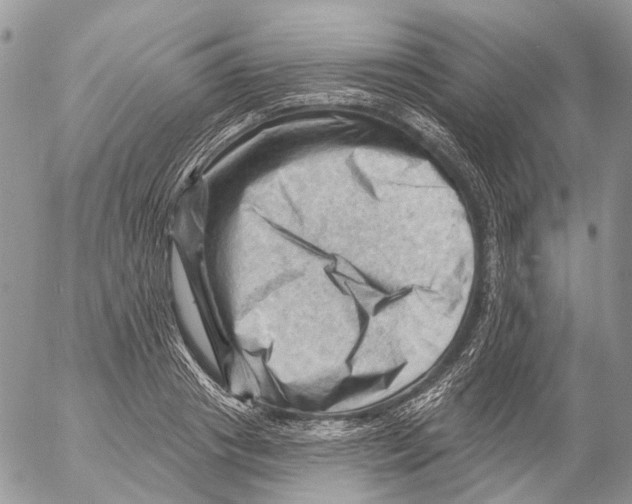 X0000053080841200508081243