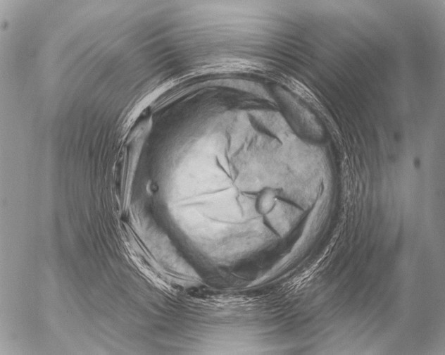 X0000053080842200508081243