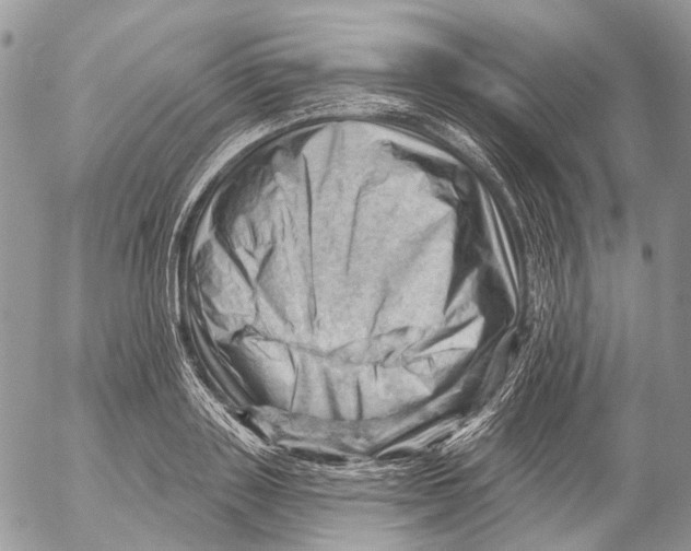 X0000053080843200508081243