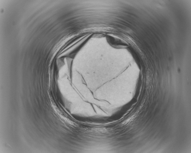 X0000053080844200508081243