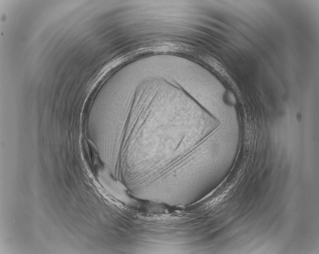 X0000053080845200508081243