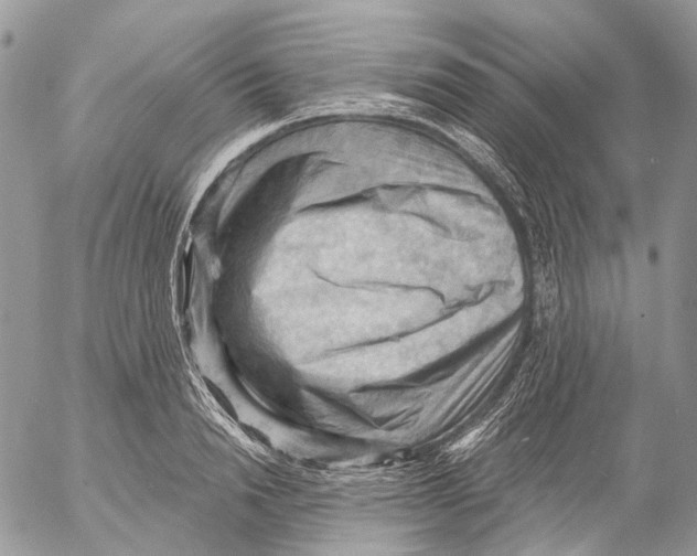 X0000053080846200508081243