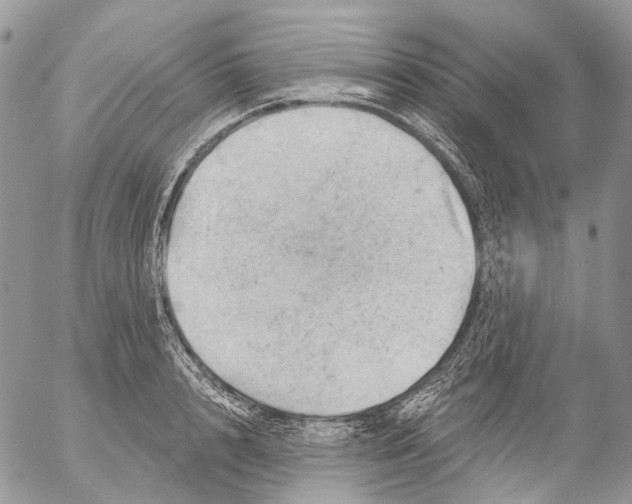 X0000053080848200508081243