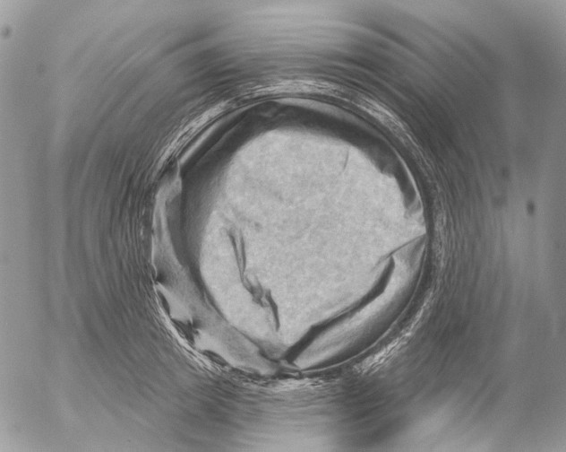 X0000053080849200508081243