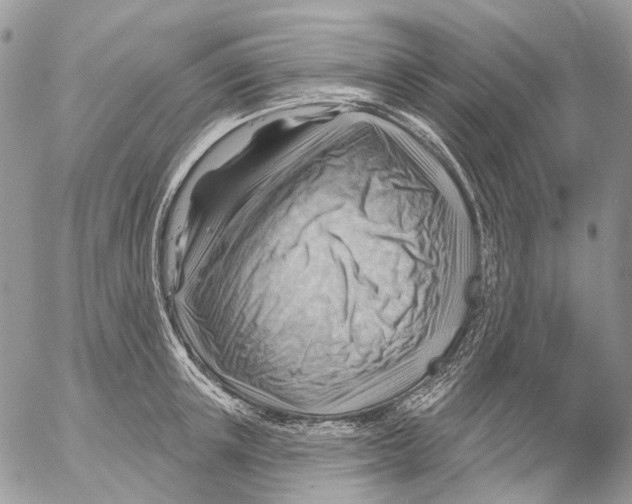 X0000053080851200508081243