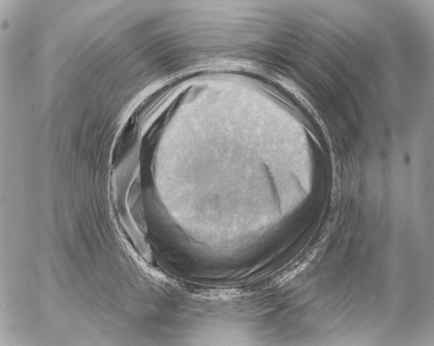 X0000053080853200508081243