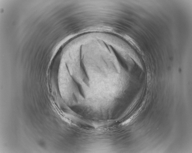 X0000053080854200508081243