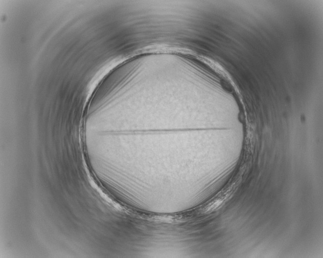 X0000053080855200508081243