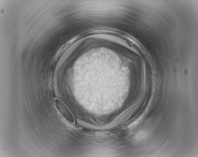 X0000053080857200508081243