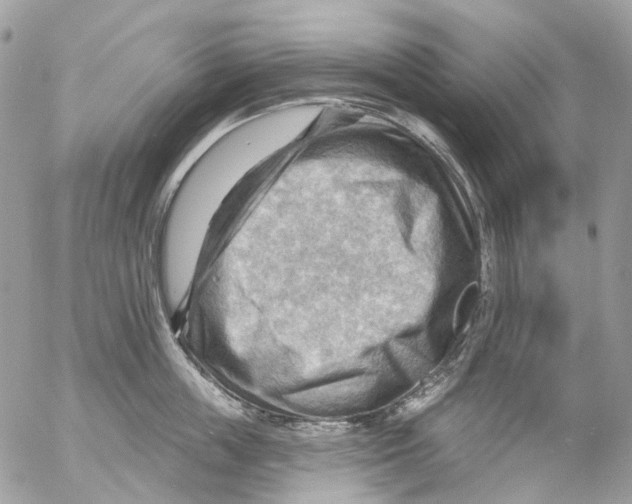 X0000053080859200508081243