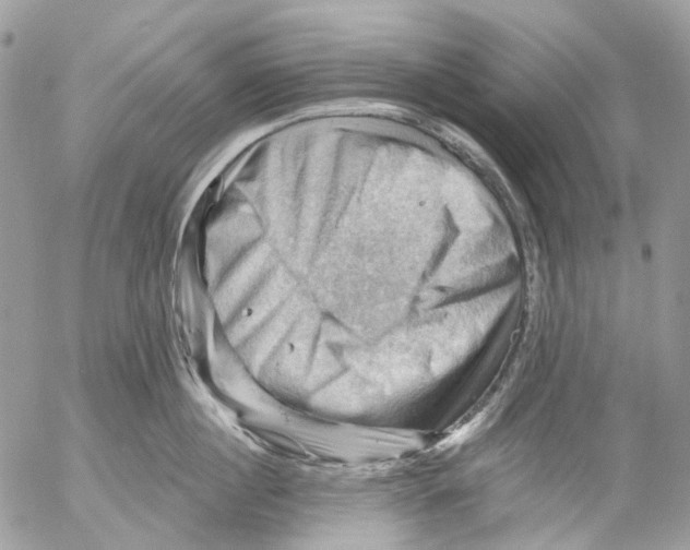 X0000053080860200508081243