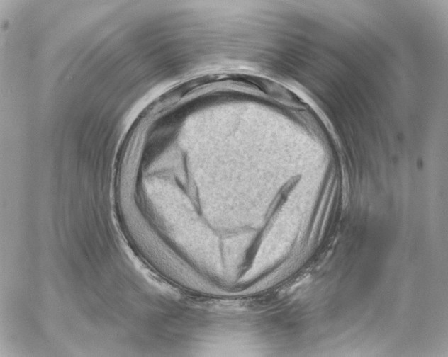 X0000053080861200508081243