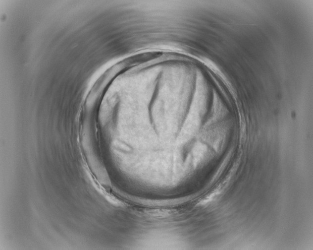 X0000053080862200508081243