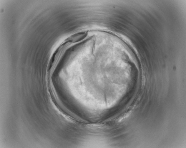 X0000053080863200508081243