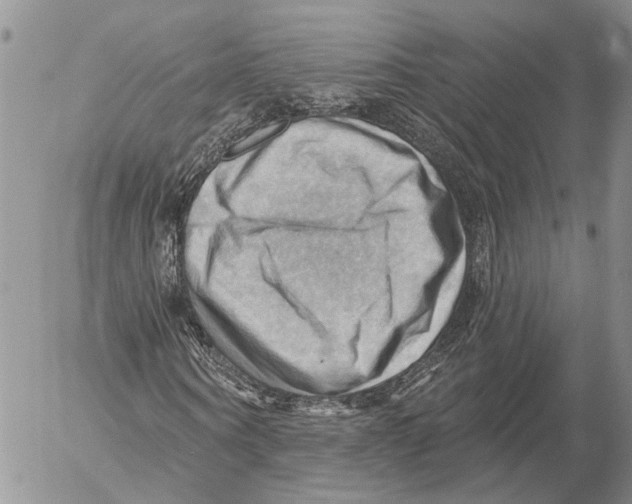 X0000053080866200508081243