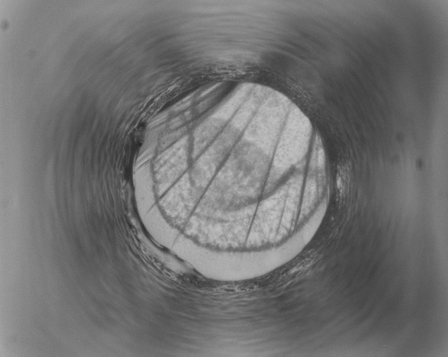 X0000053080867200508081243