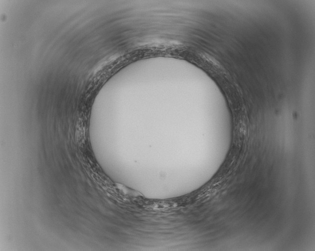 X0000053080869200508081243