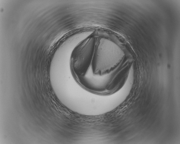 X0000053080871200508081243