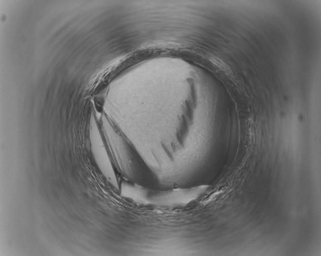 X0000053080872200508081243