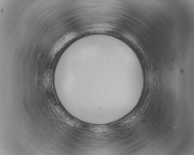 X0000053080874200508081243