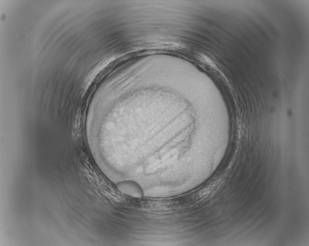 X0000053080875200508081243