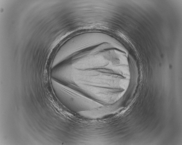 X0000053080876200508081243