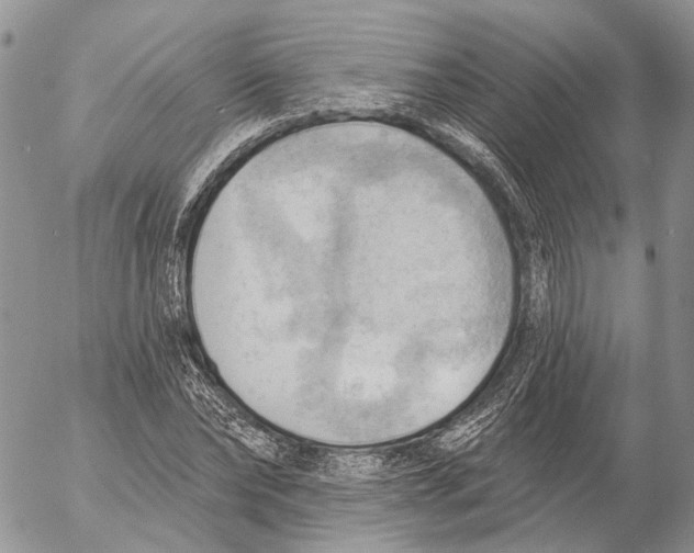 X0000053080878200508081242