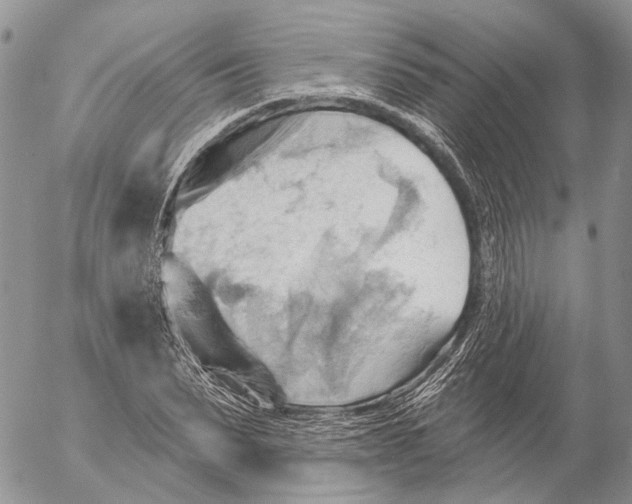 X0000053080879200508081242