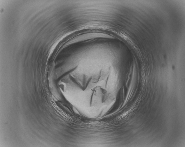 X0000053080880200508081242