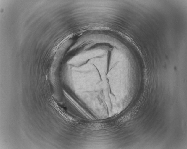 X0000053080881200508081242