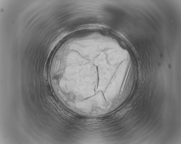 X0000053080883200508081242