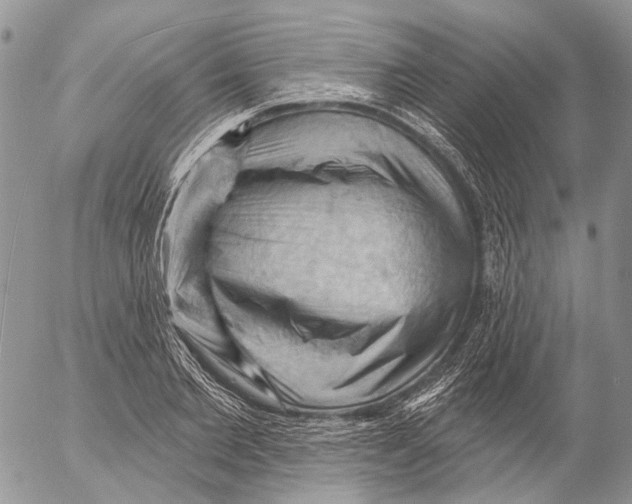 X0000053080885200508081242