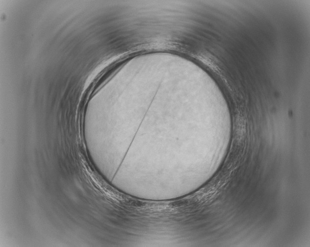 X0000053080886200508081242