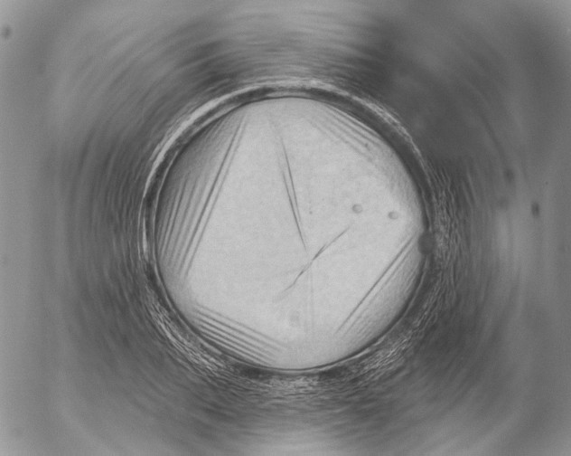 X0000053080887200508081242