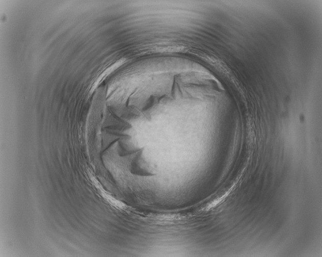 X0000053080889200508081242