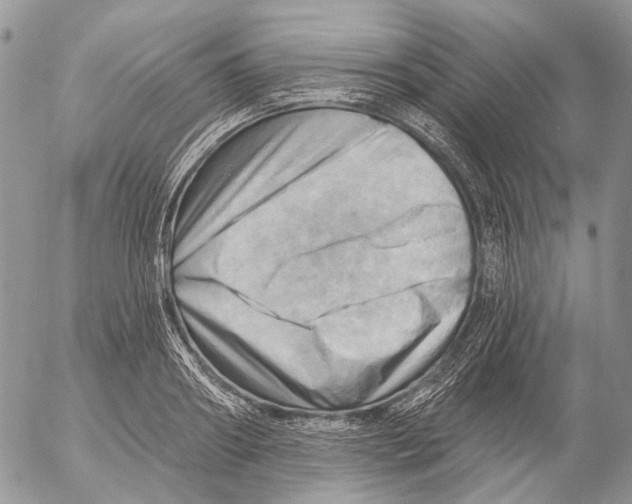 X0000053080890200508081242