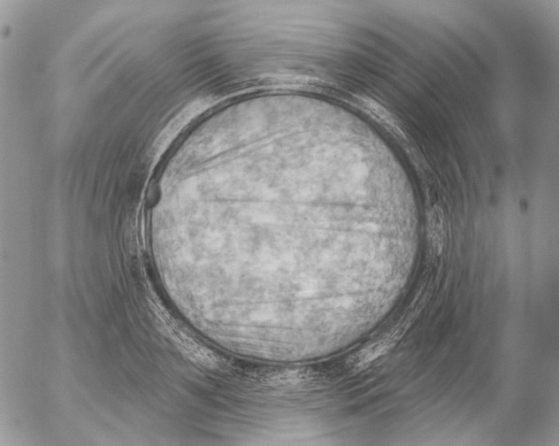 X0000053080891200508081242