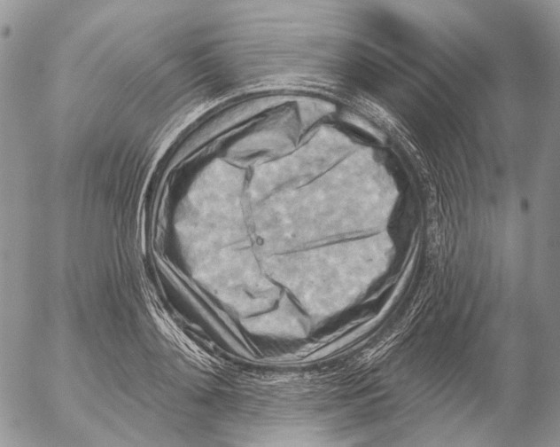 X0000053080892200508081242