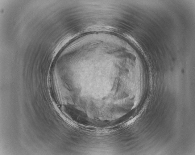 X0000053080893200508081242